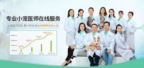 疫情期間寵物嘔吐、拉稀、血便怎么辦？4大科學(xué)防護(hù)指南助力在家養(yǎng)寵