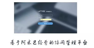 上?；ヂ?lián)網(wǎng)軟件集團 高端協(xié)同管理軟件與咨詢服務(wù)領(lǐng)軍者